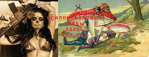 шишки Алзамай