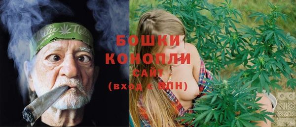 шишки Алзамай