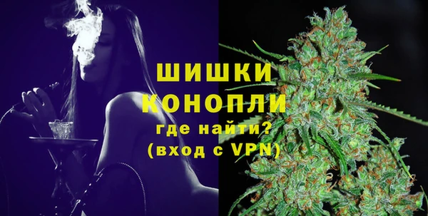 шишки Алзамай