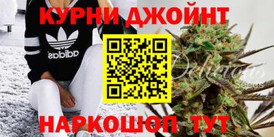сатива Коммунар