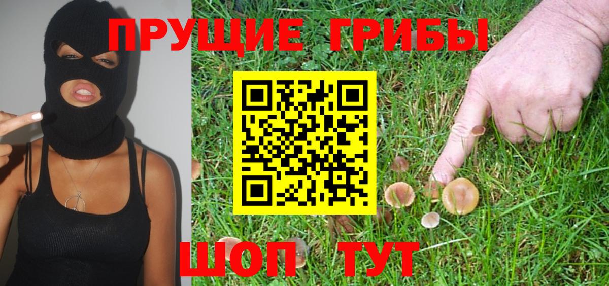 Соликамск  Псилоцибиновые грибы Psilocybe  Галлюциногенные грибы прущие грибы  Вход с VPN 