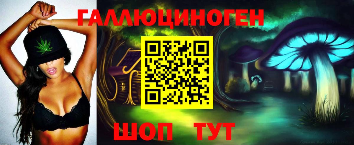 Галлюциногенные грибы Psilocybe Соликамск